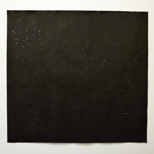 顶级黑人搡BBw搡BBBB搡
