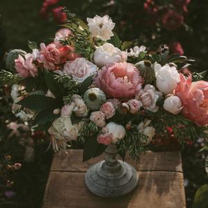 顶级黑人搡BBw搡BBBB搡
