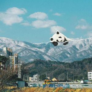 顶级黑人搡BBw搡BBBB搡
