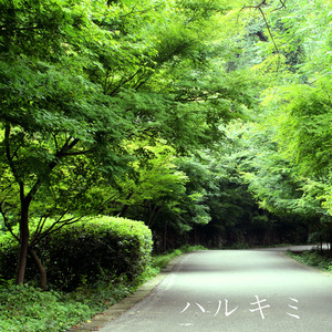 顶级黑人搡BBw搡BBBB搡
