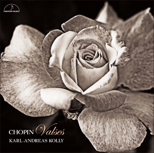 顶级黑人搡BBw搡BBBB搡
